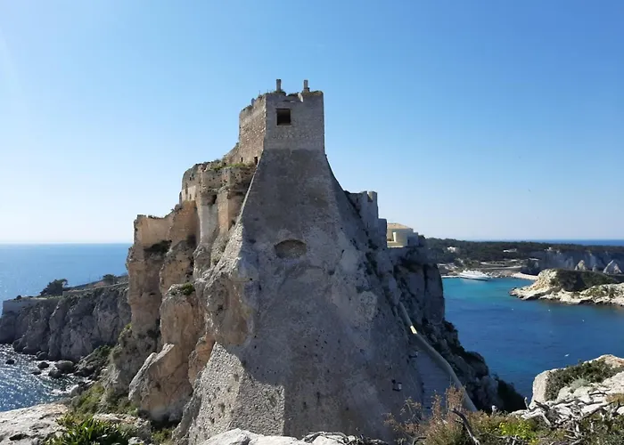 Residenza Gonzaga